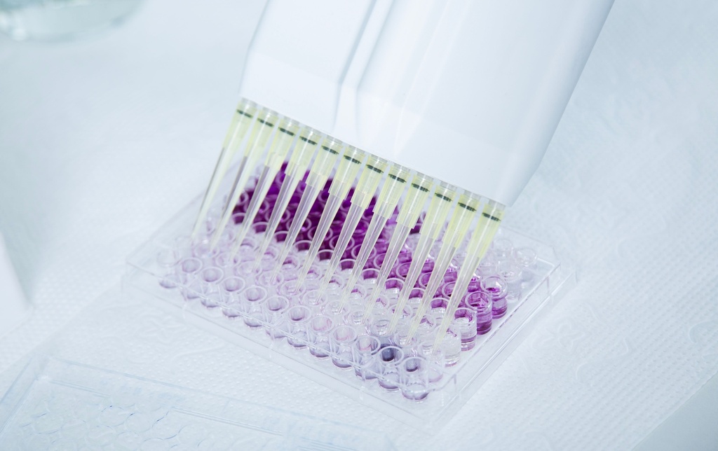 300uL Low Retention Reload Pipette Tips - Presterilized, RNase and DNase Free